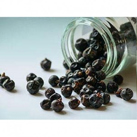 Juniper in Berries - Jar of 25gr