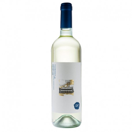 Passerina Cantina Offida Wein - 0,75 L