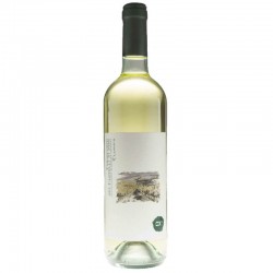 Verdicchio dei Castelli di Jesi Classico Cantina Offida