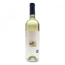 Falerio Cantina Offida