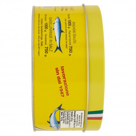 Filetes de Anchova Salgados Marca do Vaticano Mar Mediterrâneo - embalagem de 1 Kg