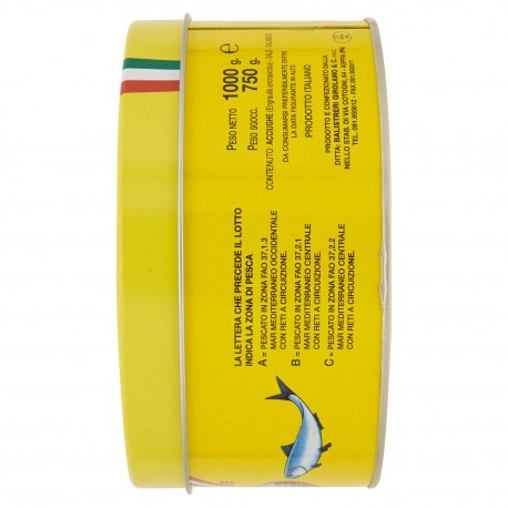 Filets d'Anchois Salés Marque Vatican Mer Méditerranée - Pack 1 Kg