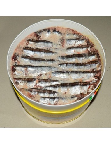 Salted Anchovy Fillets Vatican Brand Mediterranean Sea - 1 Kg Pack - Tuna Anchovies and Sardines