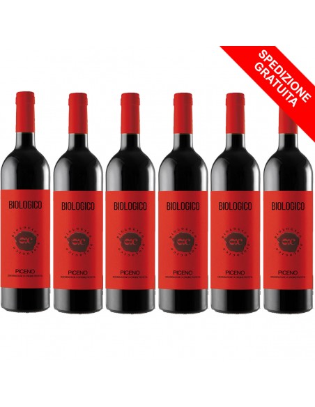 Rosso Piceno Bio Cantina Offida - 6 Flaschen - Rotweine