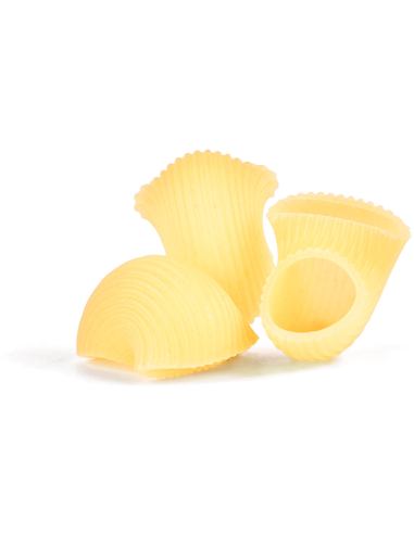 GIROLOMONI Nudeln Conchiglie Rigate Bio di Grano Duro - 12 Packungen à 500gr