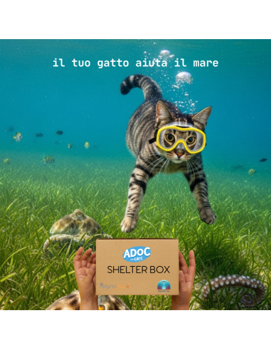 24 Lattine DA 85 gr ADoC Cat Gatto Cibo Umido per Gatti SHELTER BOX - Gamberetti Alicette Prosciutto Tonnetto