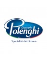 Polenghi